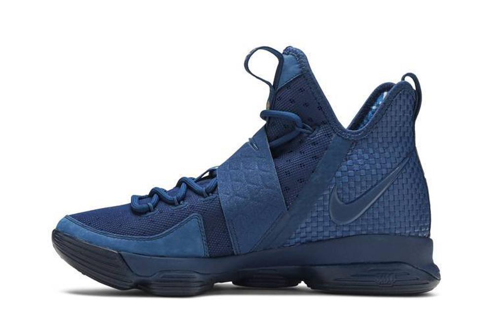Кроссовки Nike Lebron 14 Agimat