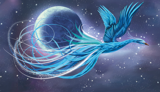 Коллекция Animality