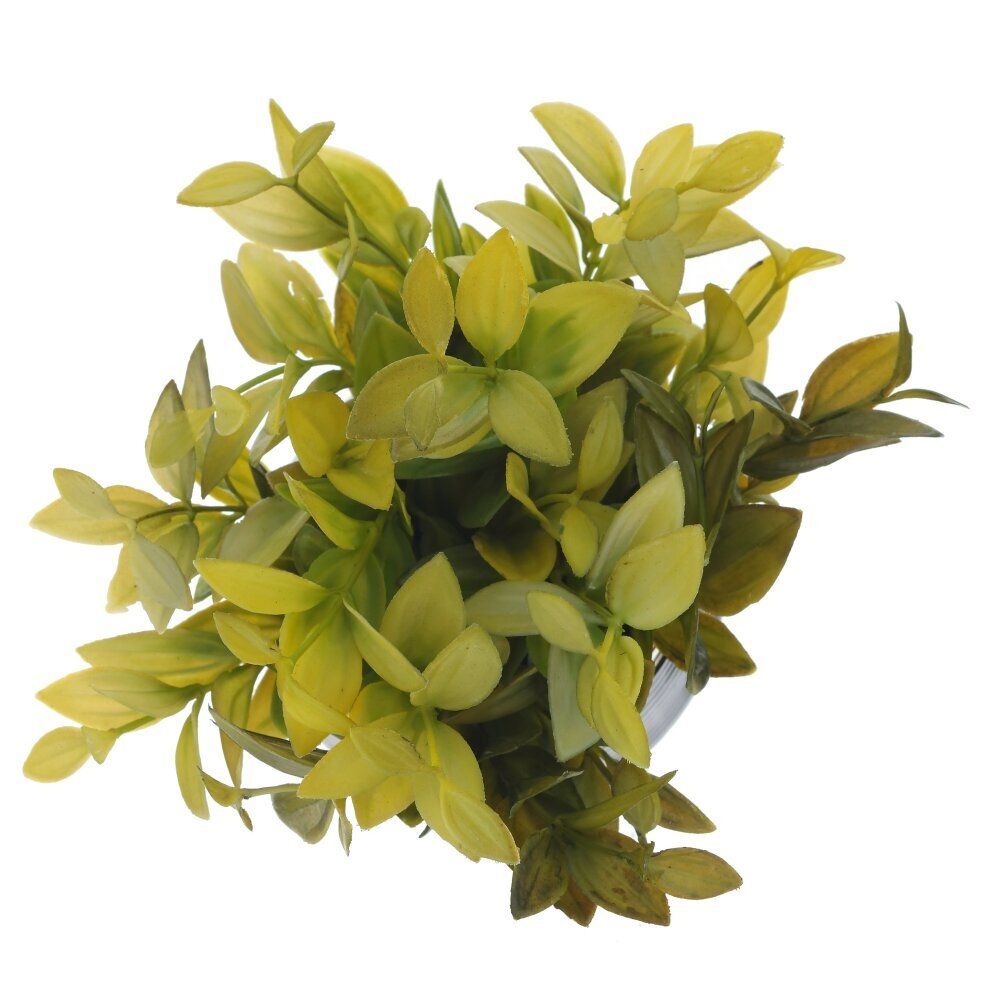 GAEM Цветочная композиция, L12 W12 H20 см