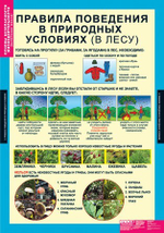 Комплект таблиц "Основы безопасности жизнедеятельности 1-4 кл."; 10 таблиц