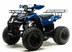 Квадроцикл Motoland 125 FOX