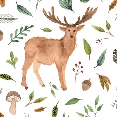 Олени в лесу