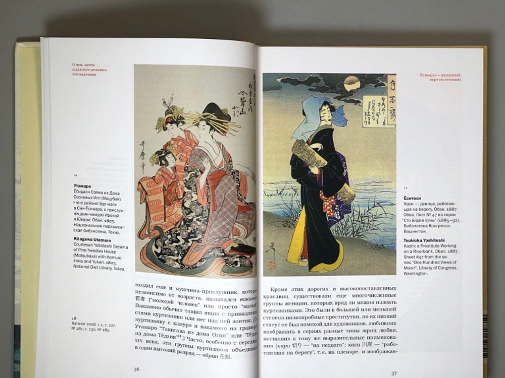 В пучине бренного мира