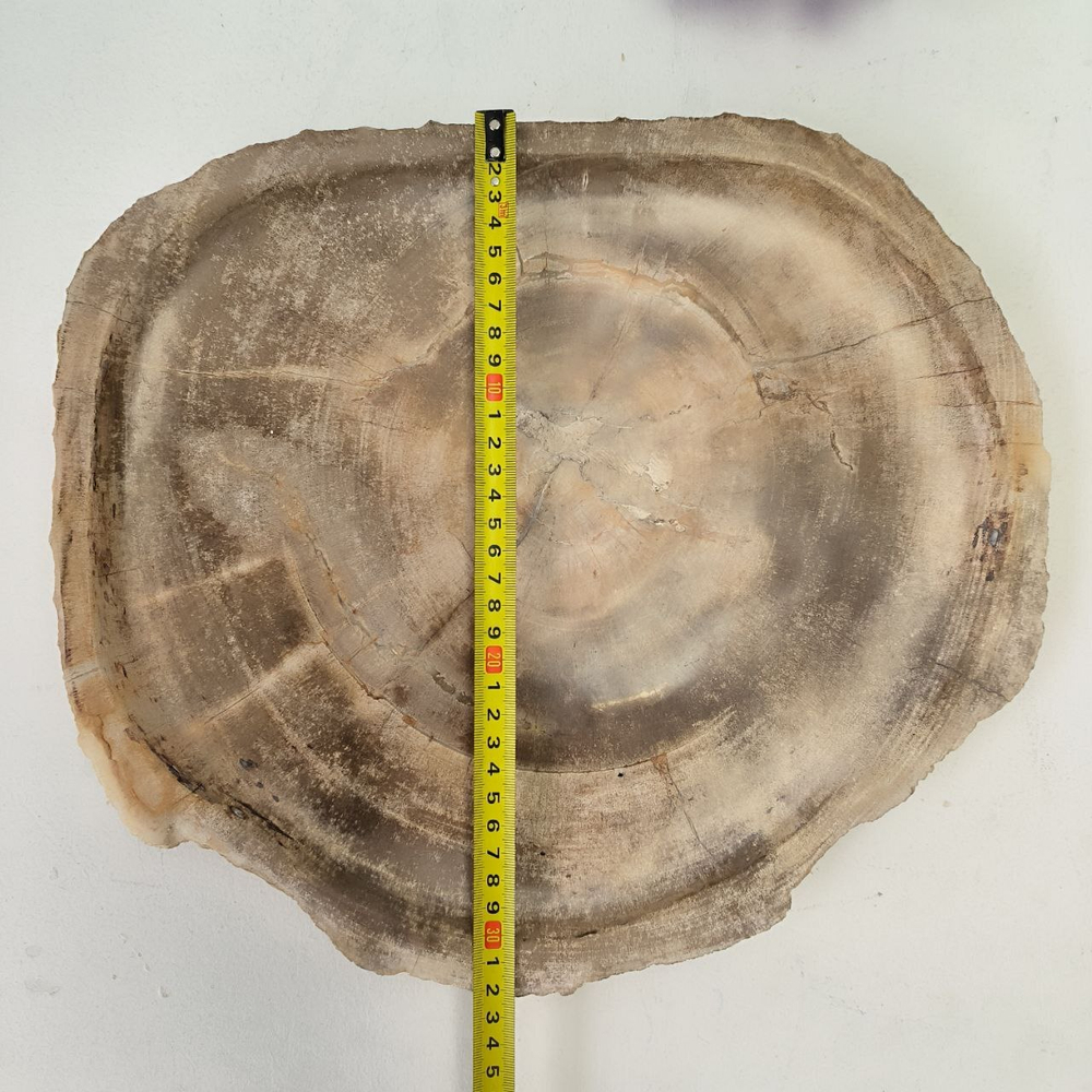 Набор из окаменелого дерева 4 предм Fossil Set NF-63077 поднос 33см*37см