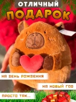 Капибара мягкая игрушка подушка с сердцем 20 см