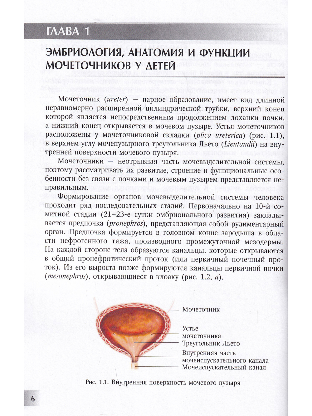 Мегауретер у новорожденных и детей раннего возраста