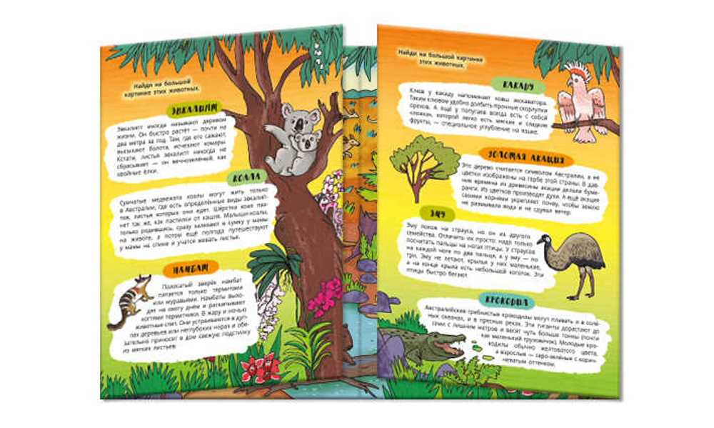 a96cef83_9908_11eb_80e1_002590ea7b7b_dd3fe67c_f370_11eb_80e5_002590ea7b7b