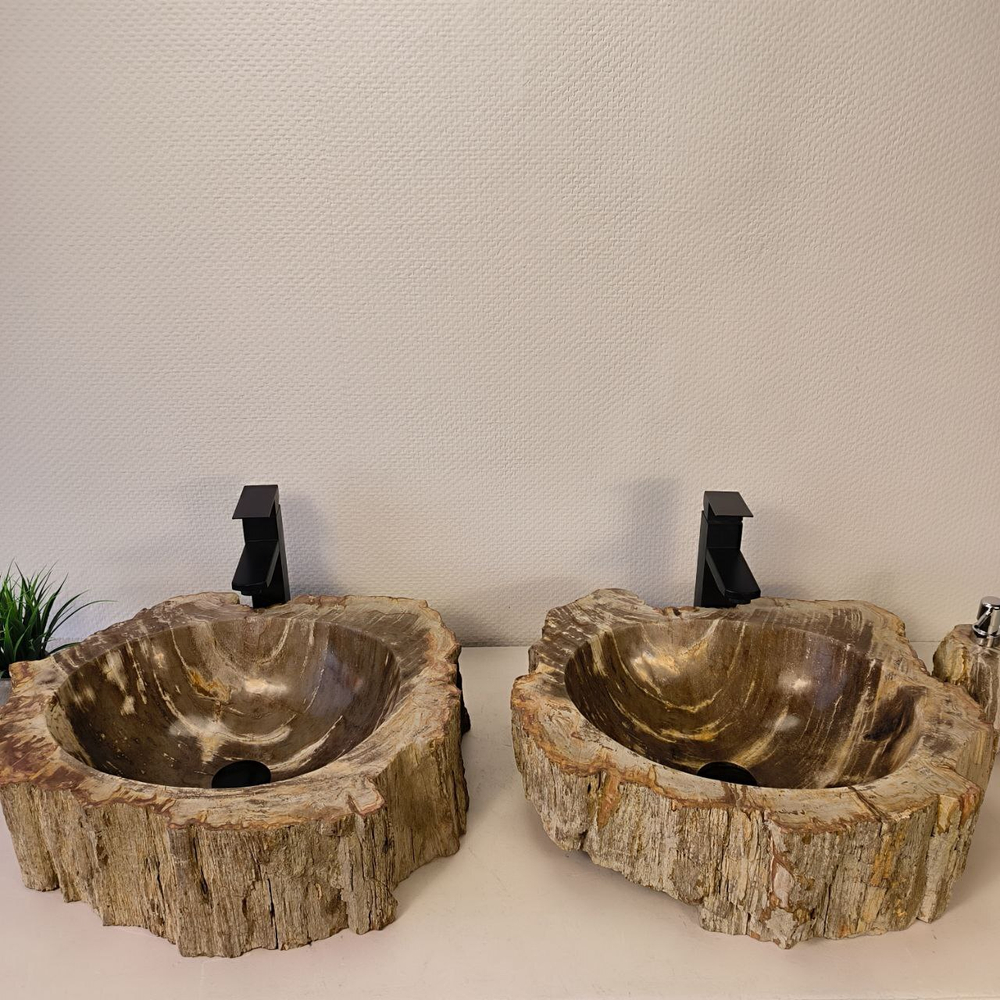 Раковина из окаменелого дерева ПАРА! OD-66073 52*45*15 из натурального камня