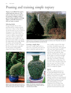 Practical Guide to Pruning, Training and Topiary