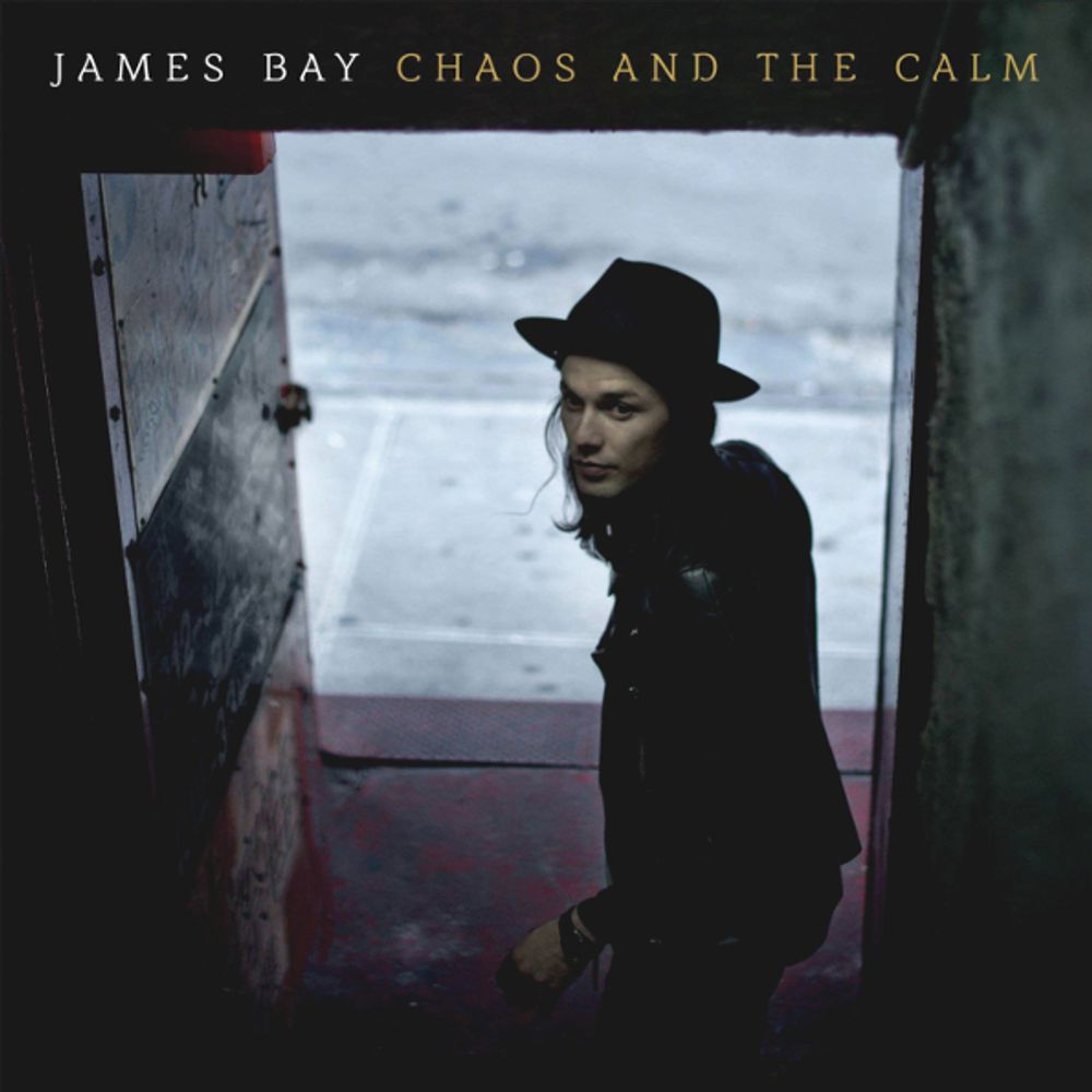 James Bay / Chaos And The Calm (LP)