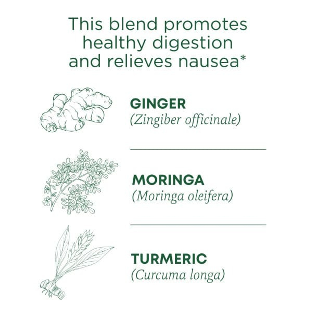 Traditional Medicinals, Ginger Aid, органический, (имбирь), без кофеина, 16 чайных пакетиков, 32 г (1,13 унции)