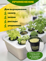 Стаканчик салатный 50 мм (горшок для выращивания зелени), 48 шт