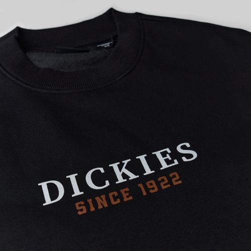 Толстовка мужская Dickies Park Sweatshirt артикул:DK0A4YEIBLK1 - купить в магазине Дайс