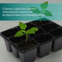 Кассета для рассады, 9 ячеек по 80 мл, пластик, чёрная, 18 × 13 × 6 см