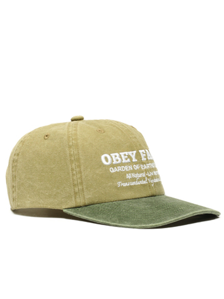 Кепка Pigment Obey Farms