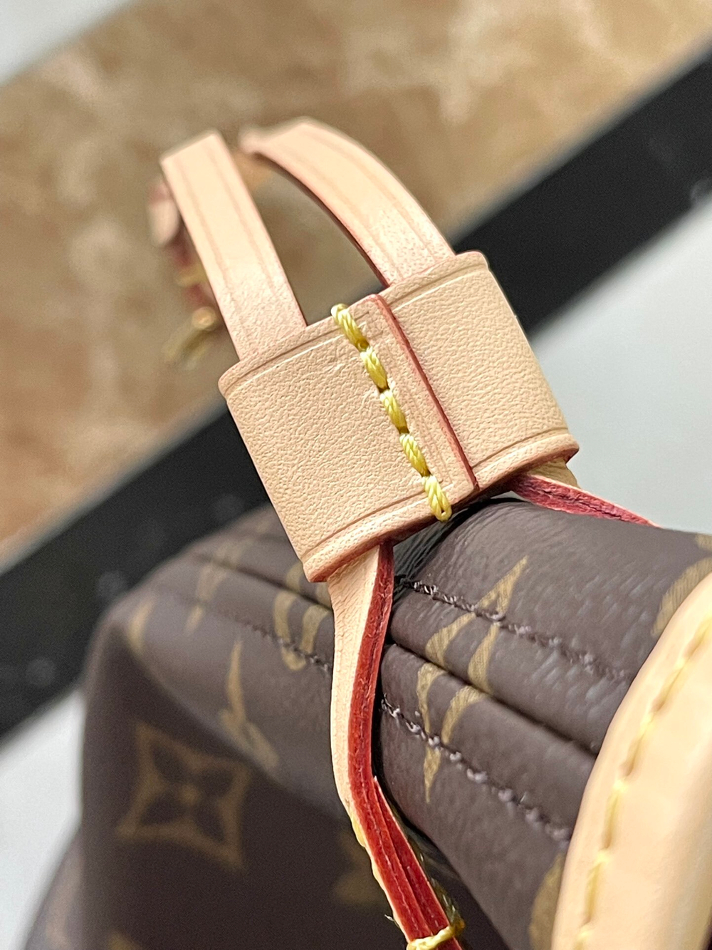 Louis Vuitton Neverfull PM