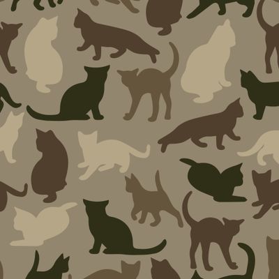 Коты