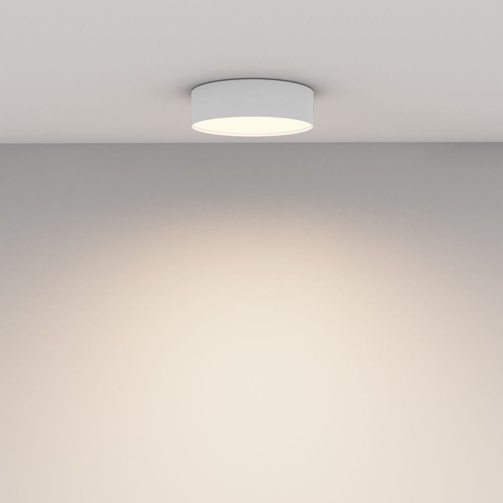 Потолочный светильник Technical C032CL-24W3K-RD-W