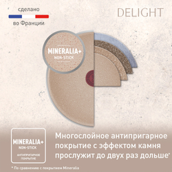 Сковорода Tefal Delight 24 см G2930402