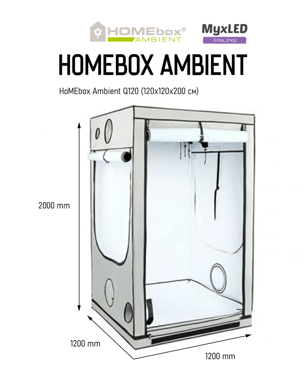 HomeBox Ambient