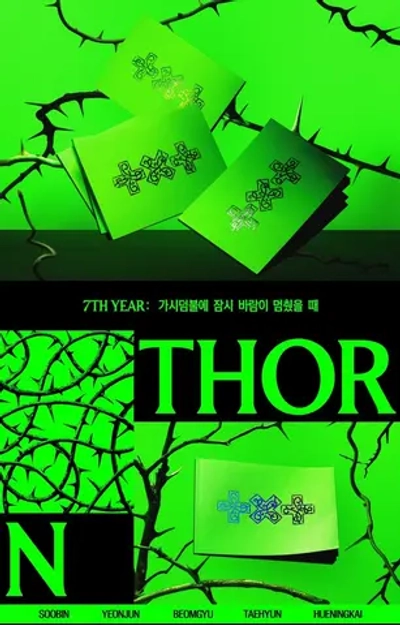 Альбом TXT - 7TH YEAR: A Moment of Stillness in the Thorns [THORN ver.]