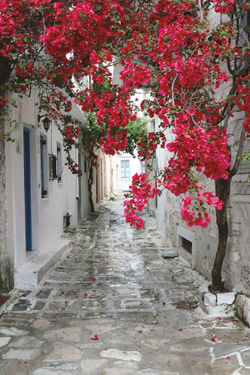 Коллекция Города и страны