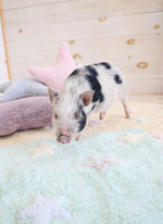 Ковер Lorena Canals Tricolor Stars Mint (120 x 160 см)