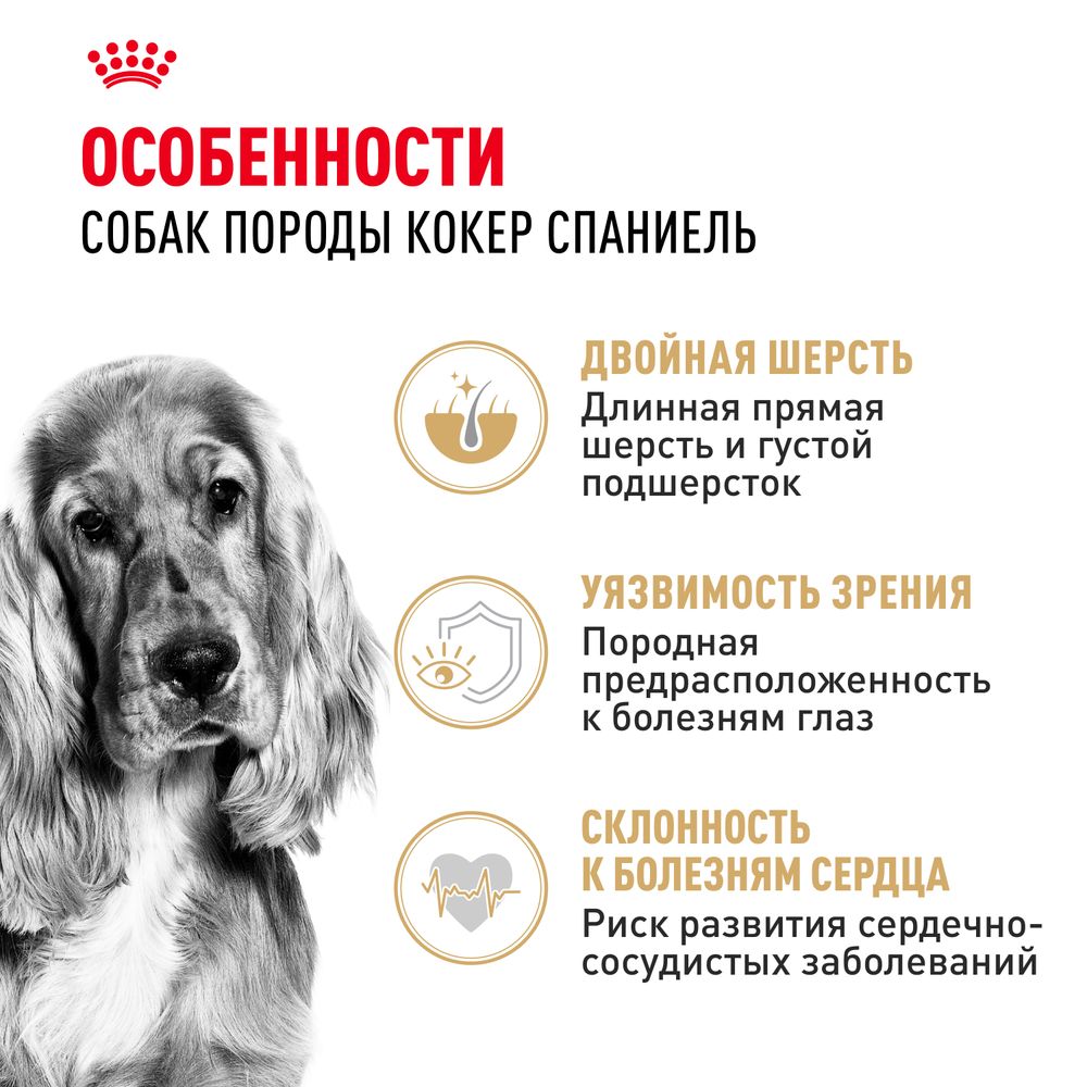 Сухой корм Royal Canin Cocker Adult для взрослых собак породы Кокер Спаниель от 12 месяцев