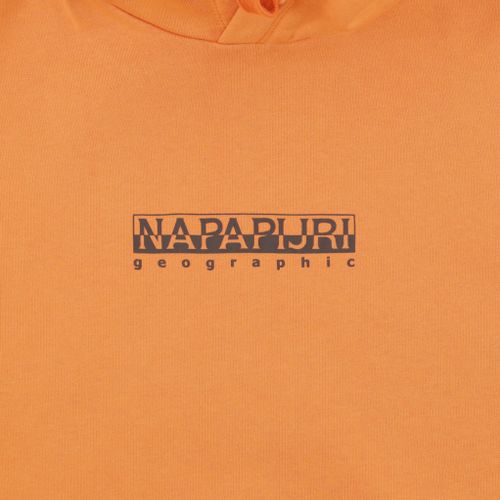 Толстовка мужская Napapijri B-Box Hoodie артикул:NA4GBEAA3 - купить в магазине Дайс