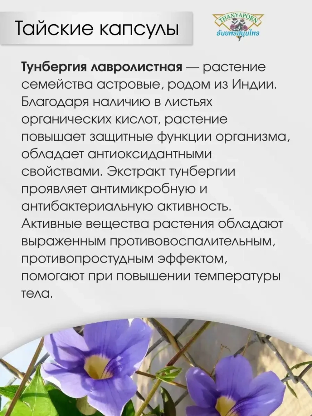 Тайские капсулы от похмелья и детоксикации.