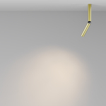 Накладной светодиодный светильник Maytoni Focus T C142CL-6W3K-BS