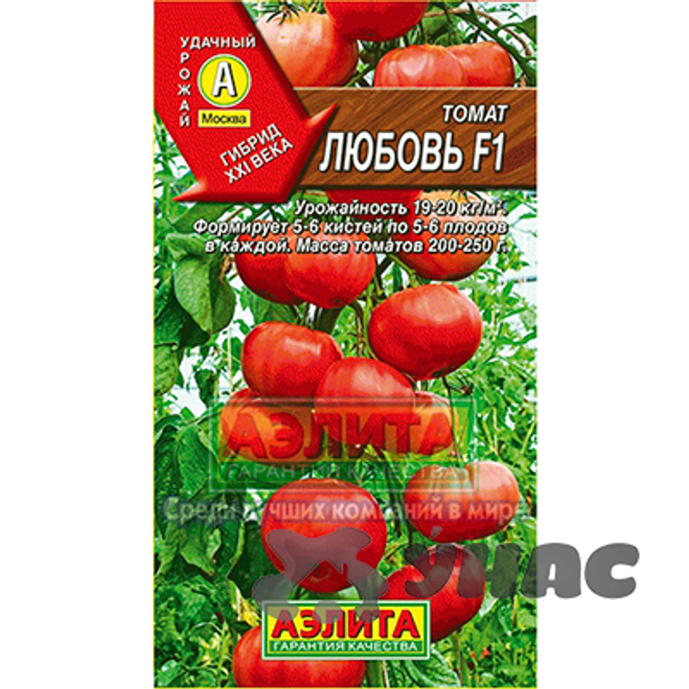 Томат Любовь Аэлита
