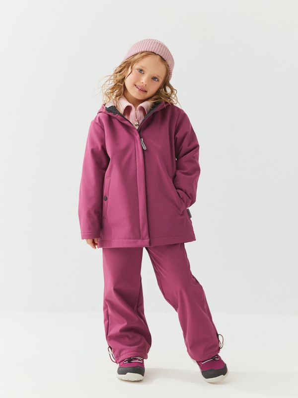 Брюки Softshell демисезонные с утяжкой 