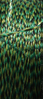 Поводочный материал CARP AGEx3 Галька/Песок 15m 7,0kg/15,4lb