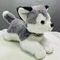 Yumşaq oyuncaq \ Мягкая игрушка \ Soft toys İt (Haski) (boz)