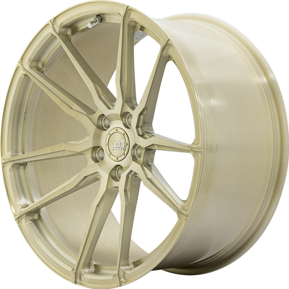 RP FORGED EH301