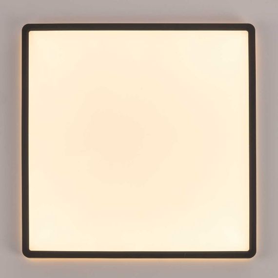 Потолочный светодиодный светильник Citilux Norma CL748K401