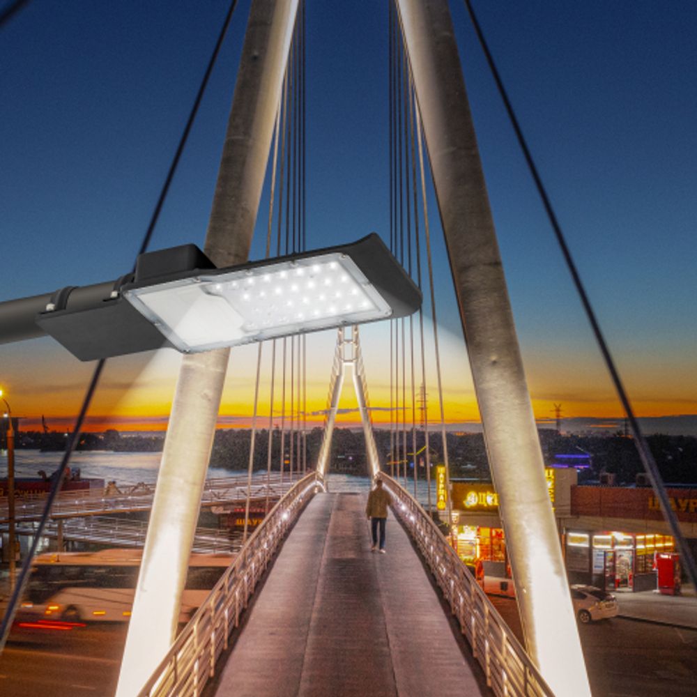 Уличный светильник ЭРА SPP-503-0-50K-030 30Вт 5000К 3000Лм IP65 КСС Ш-с DOB-SMD 48мм пульсации<5% | Уличные консольные светильники