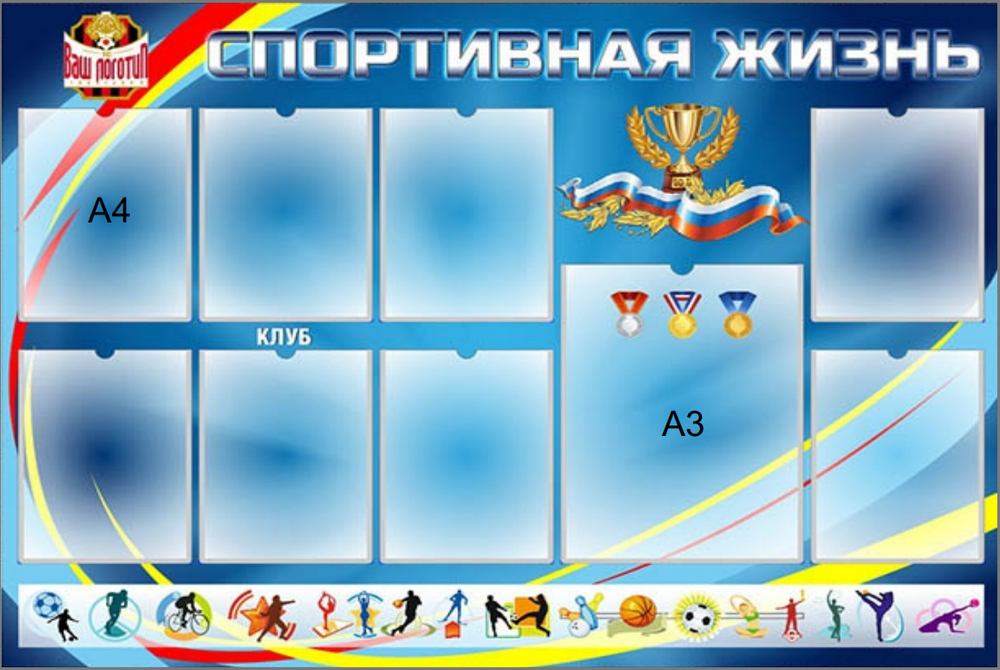 Информационный стенд "Спортивная жизнь"