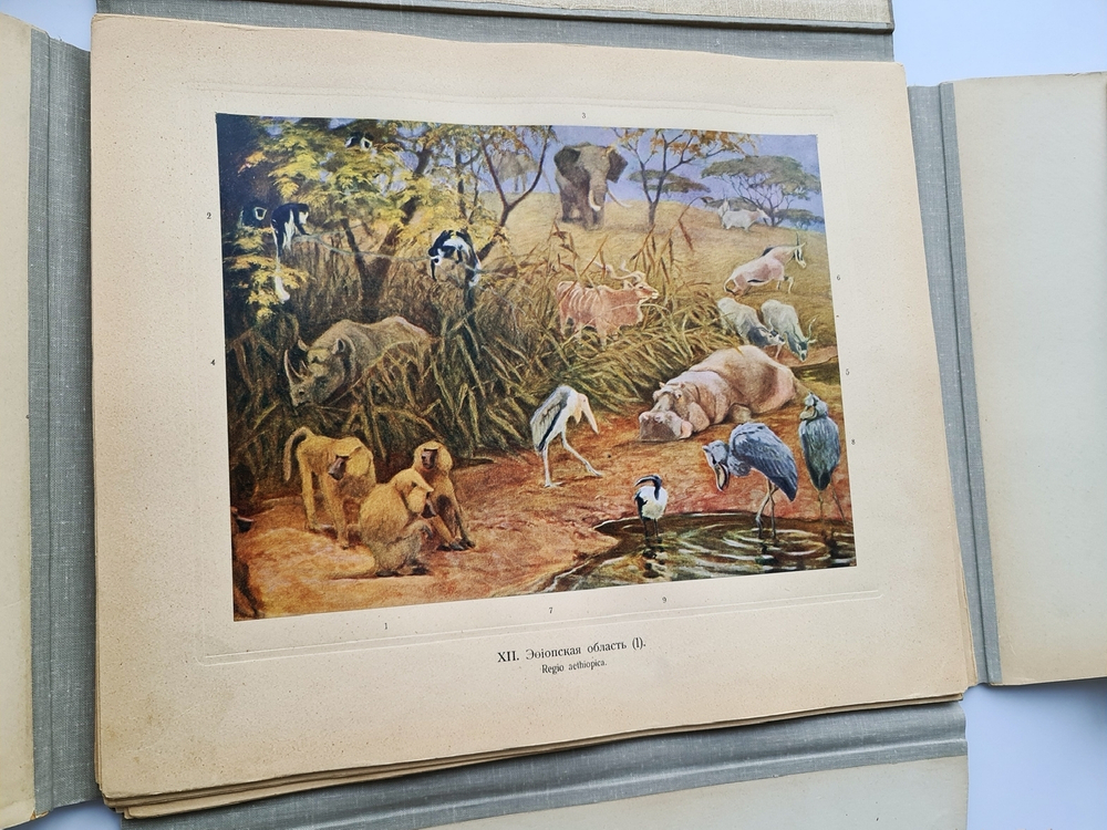 "Зоогеографический атлас". М.А. Мензбир. 1912 г. - редкая книга