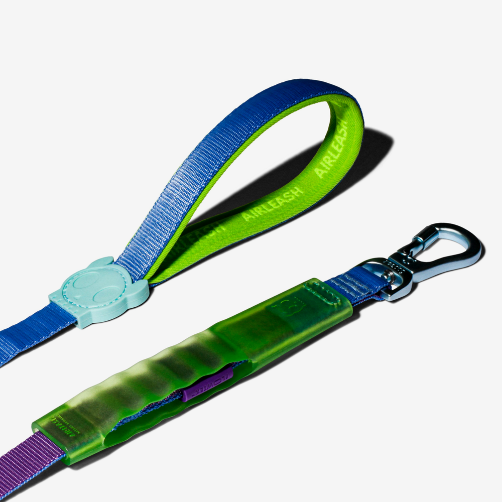 Амортизирующий поводок Air Cali Uno 150 см Zee.Dog