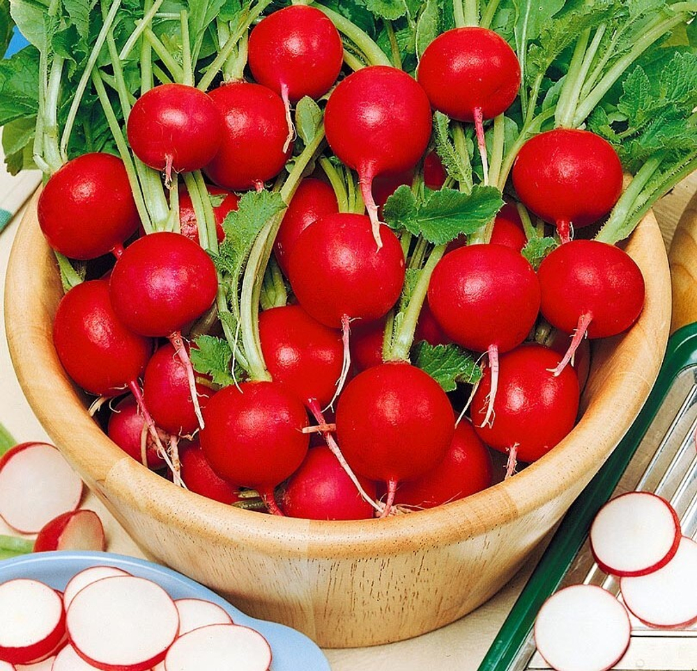 Редис Диего F1 1г  Мировые Семена VITA GREEN