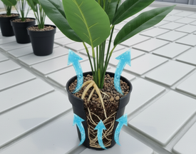 Нижний полив на стеллажах: здоровье растений и порядок в цветочном саду