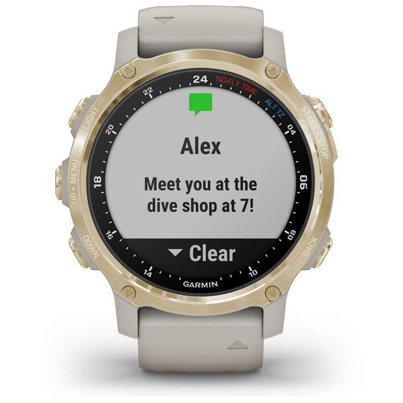 Умные часы - дайвинг компьютер Garmin Descent MK2s светло-золотистый корпус со светло-песочным силиконовым ремешком