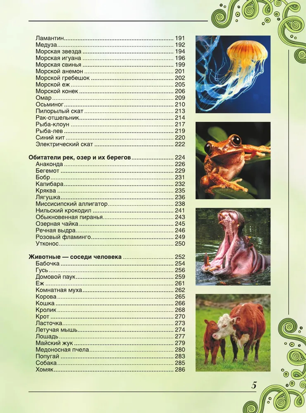 Большая книга о животных. 1001 фотография