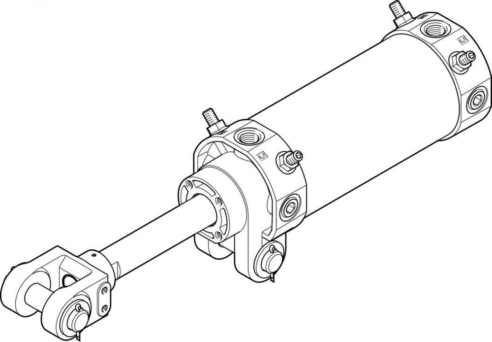 DW-80-100-Y-AB-G Цилиндр на шарнирах