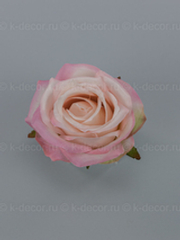 Голова розы Монреаль