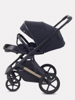 Коляска 2 в 1 Rant Garda