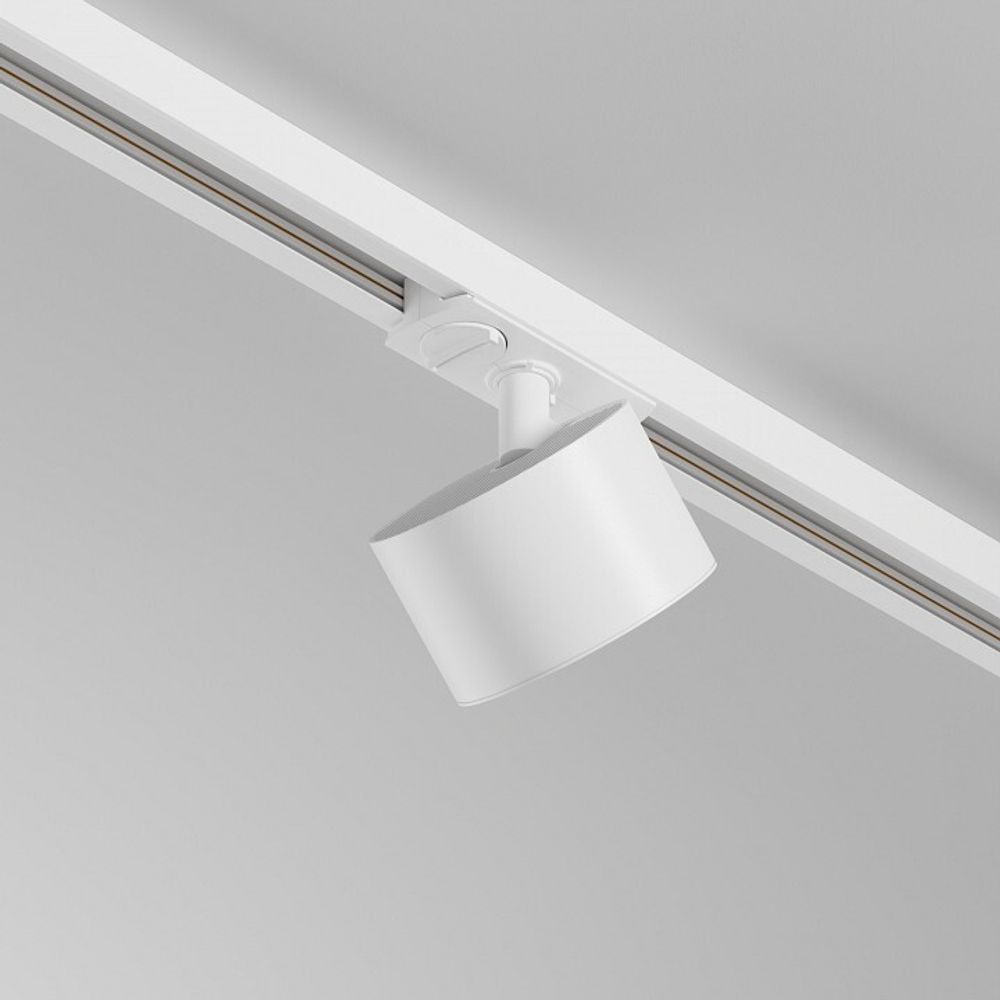 Светильник на штанге Maytoni  TR225-1-GX53-W