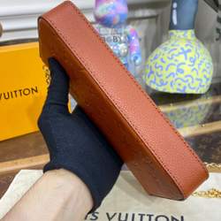 Louis Vuitton Félicie Pochette